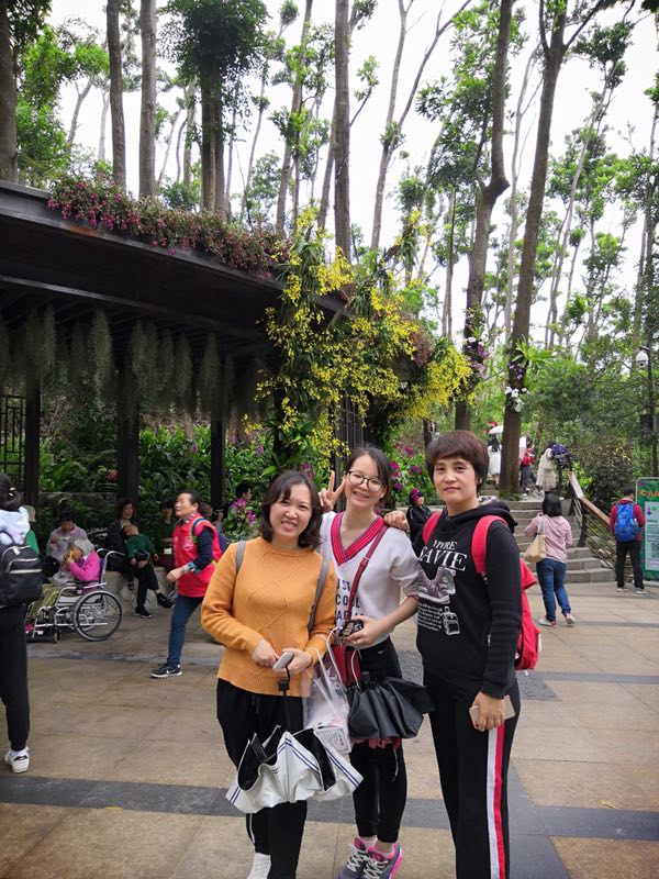 QQ圖片20190404154853