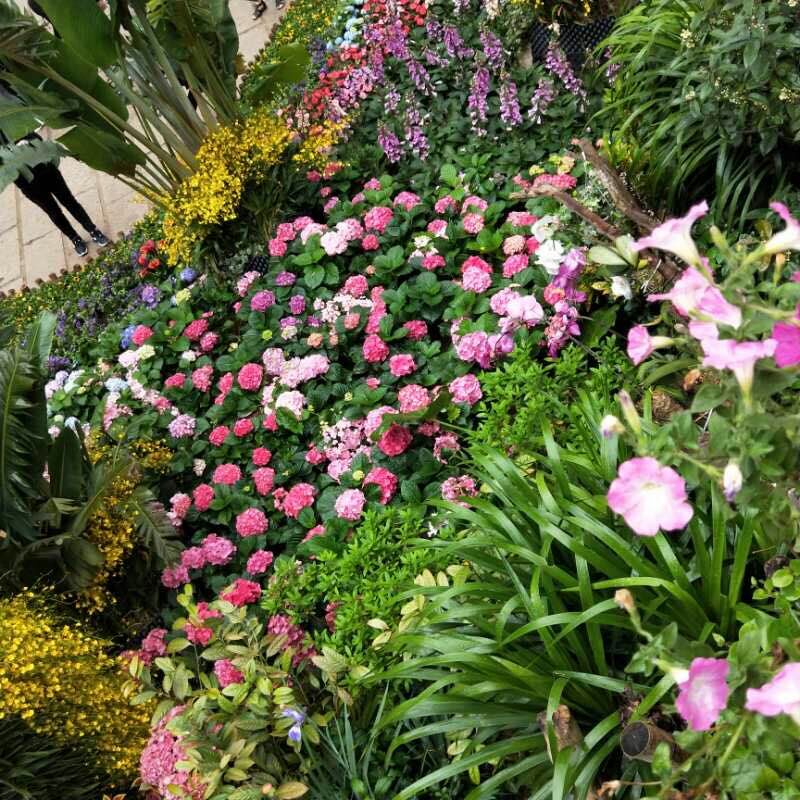 QQ圖片20190404155251