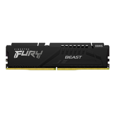 kingston/金士頓 Beast DDR5 內(nèi)存
